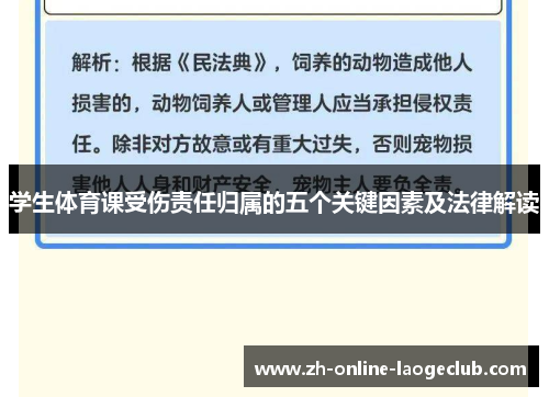 学生体育课受伤责任归属的五个关键因素及法律解读