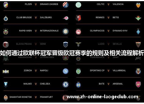 如何通过欧联杯冠军晋级欧冠赛季的规则及相关流程解析