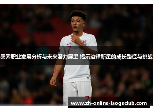 桑乔职业发展分析与未来潜力展望 揭示边锋新星的成长路径与挑战 桑乔职业发展分析与未来潜力展望 揭示边锋新星的成长路径与挑战