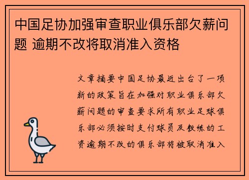 中国足协加强审查职业俱乐部欠薪问题 逾期不改将取消准入资格