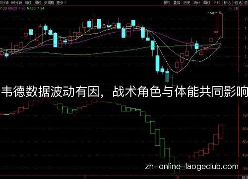 韦德数据波动有因,战术角色与体能共同影响 韦德数据波动有因,战术角色与体能共同影响